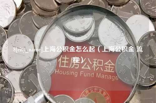 大理上海公积金怎么起（上海公积金 流程）